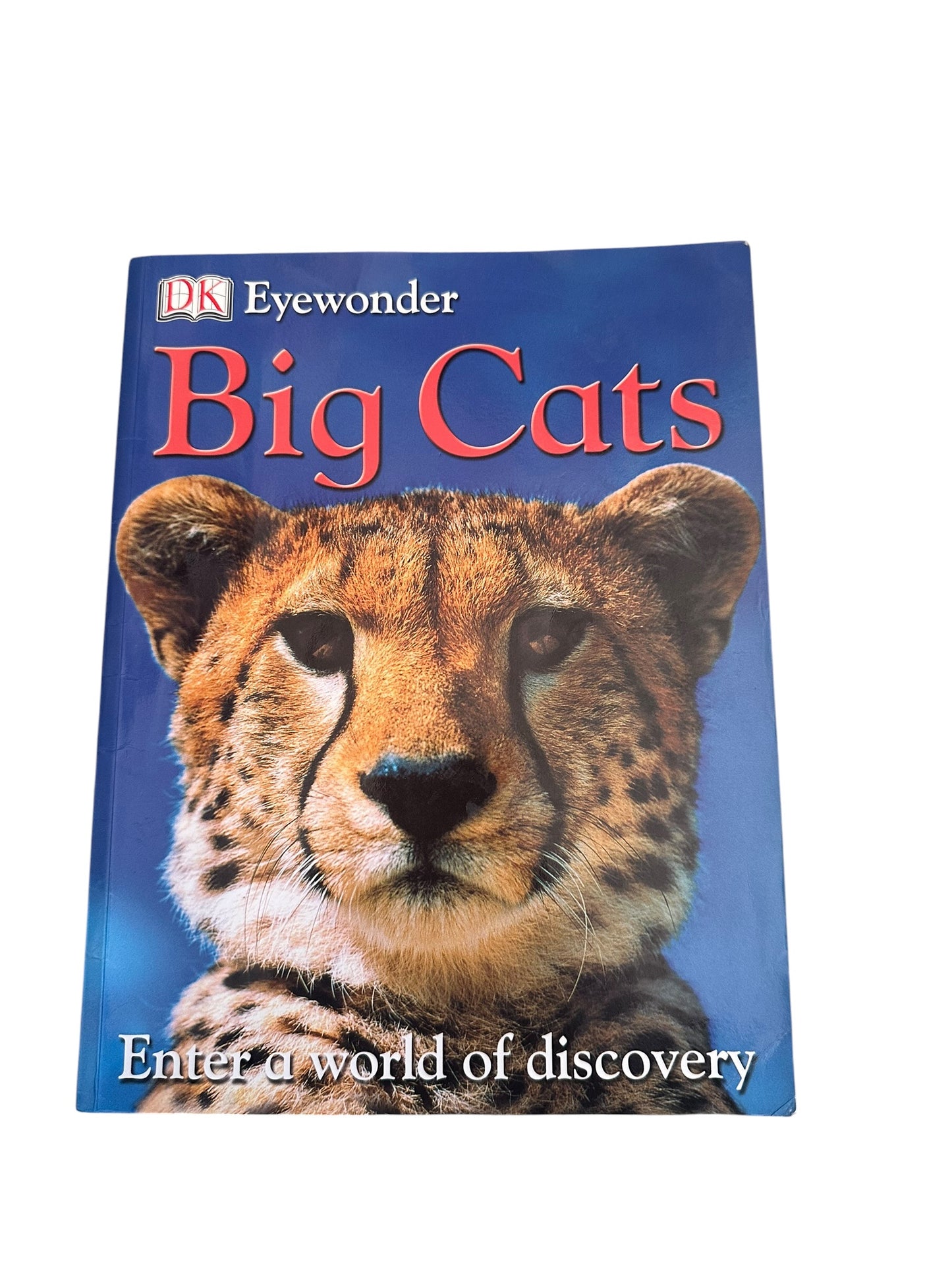 Big Cats