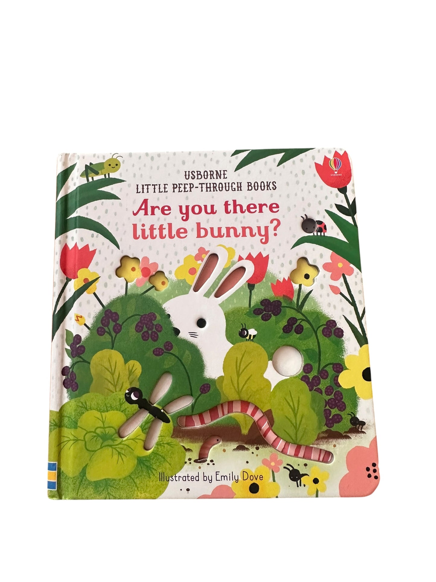 Usborne Little Peep Through Books. Are You There Little Bunny? - Board Book