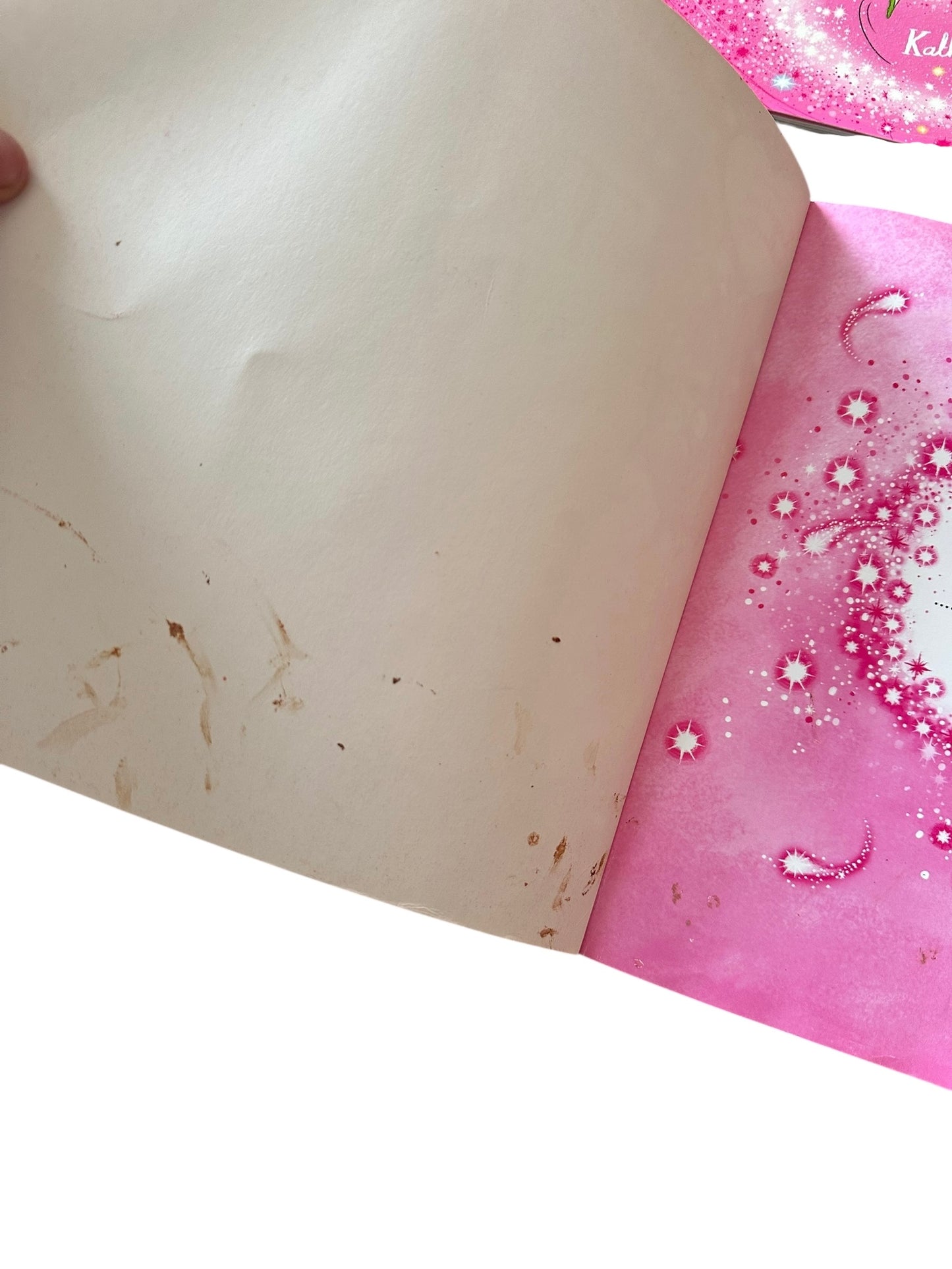 Twinkle Fairy Book Bulk