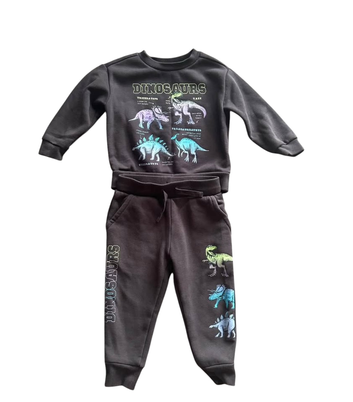 Dinosaur Tracksuit - Size 2