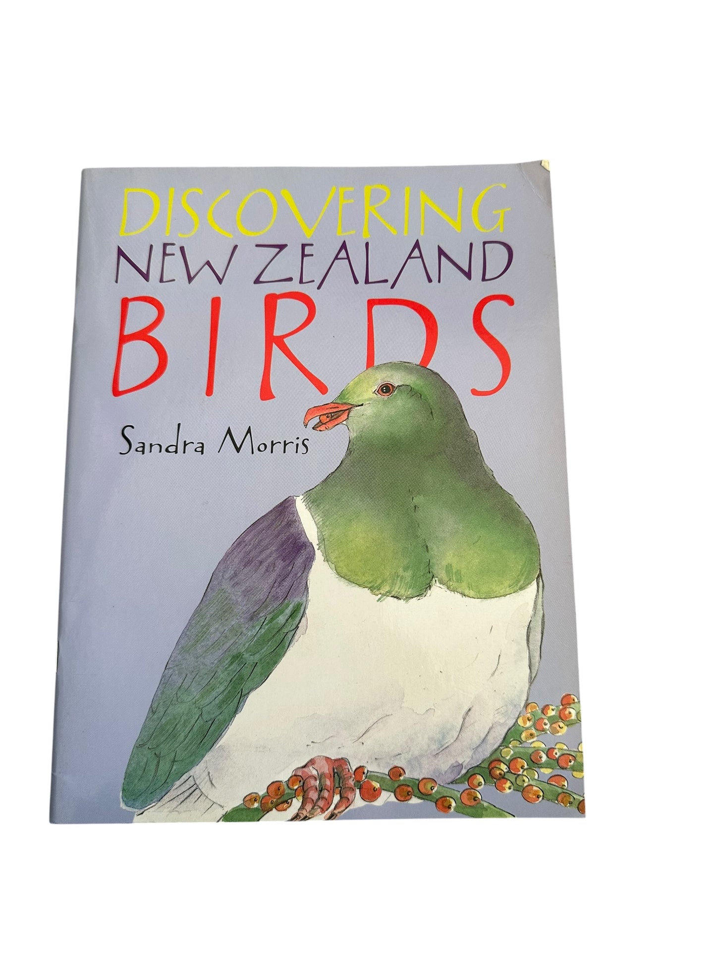 Discovering New Zealand Birds