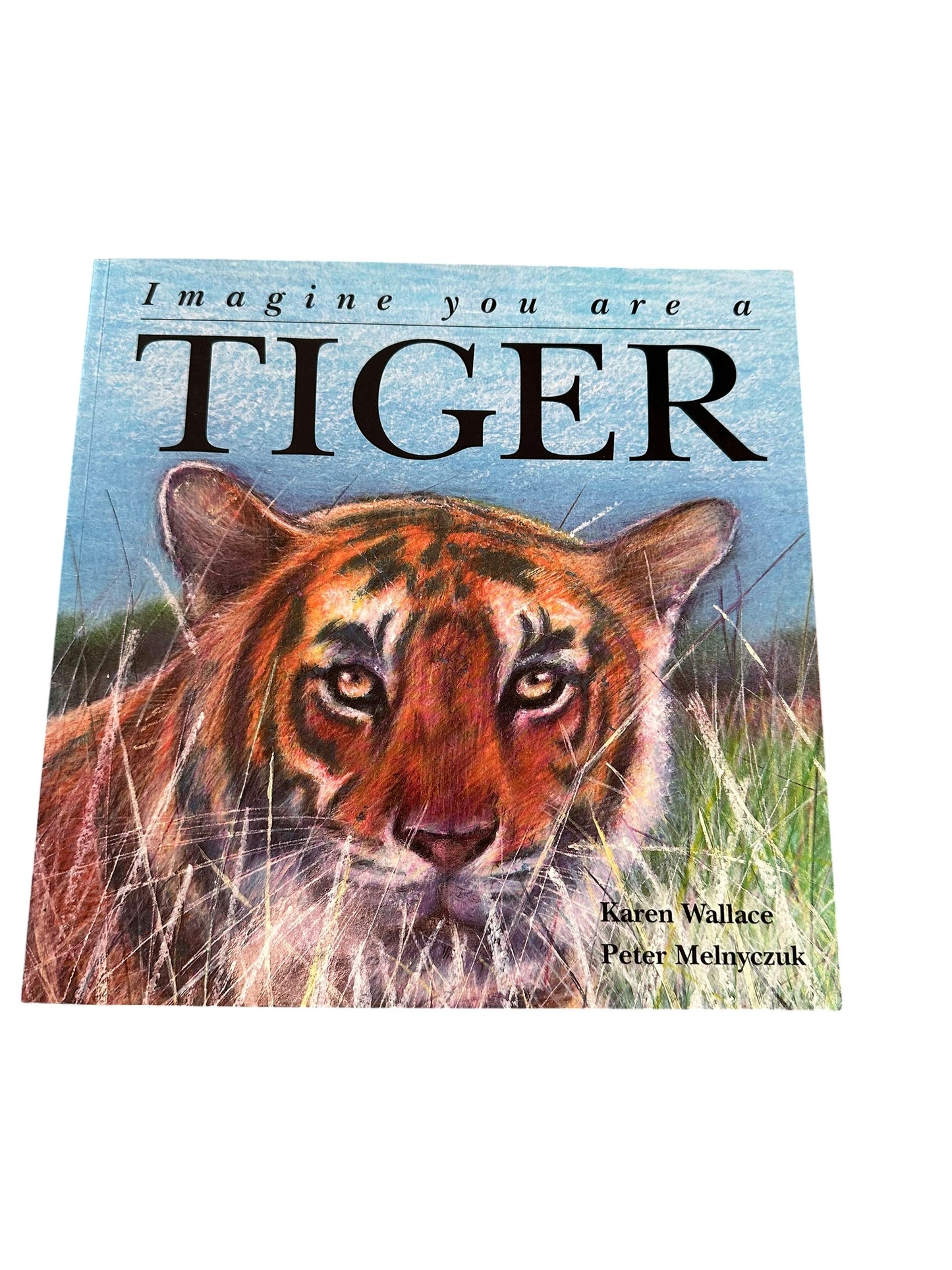 Imagine You’re A Tiger