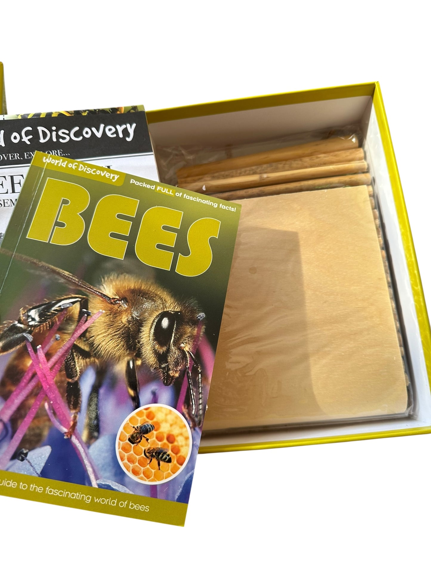 Bees World of Discovery Education Box Set