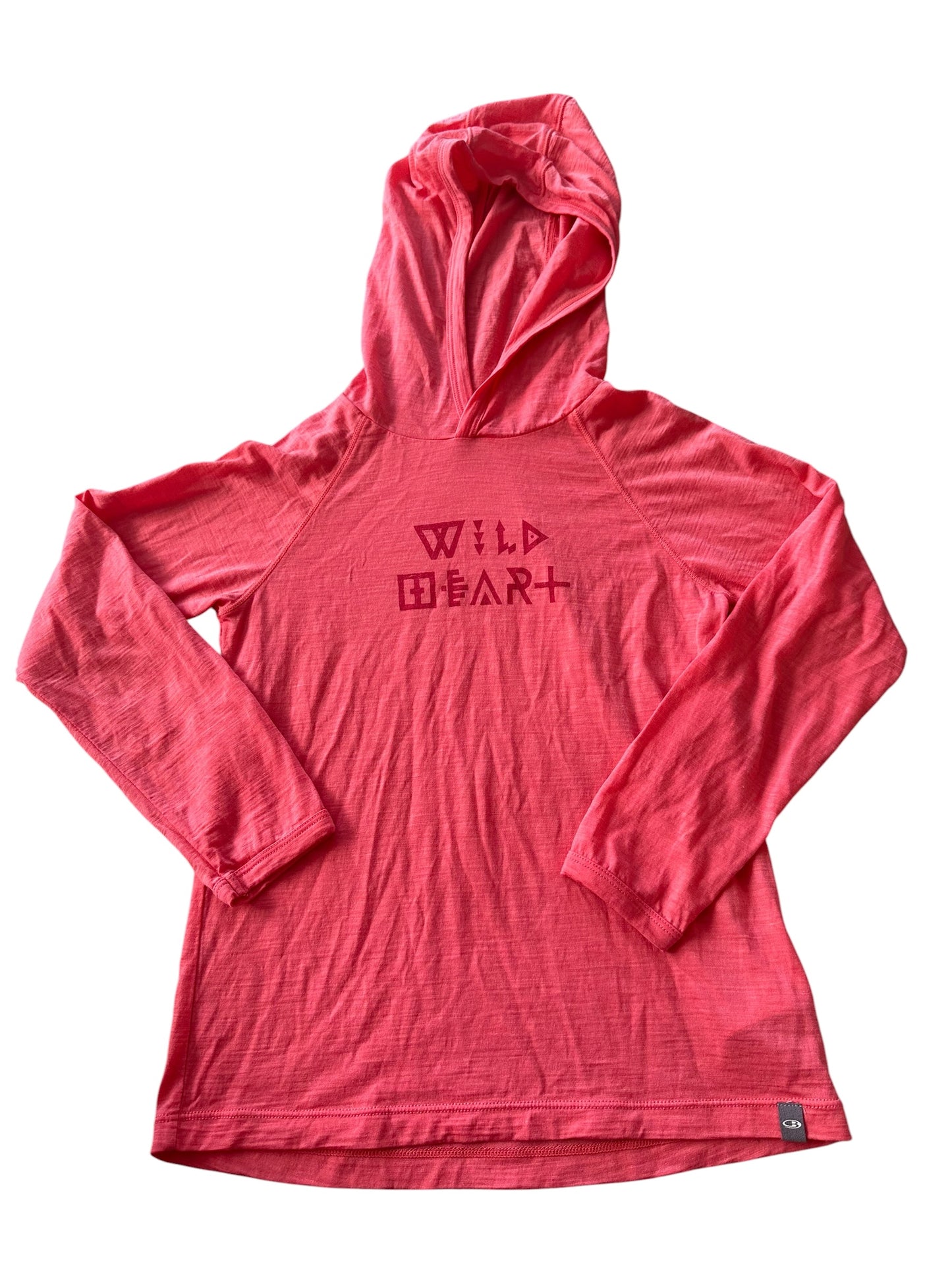Ice Breaker Merino Hoodie - Size 7-8