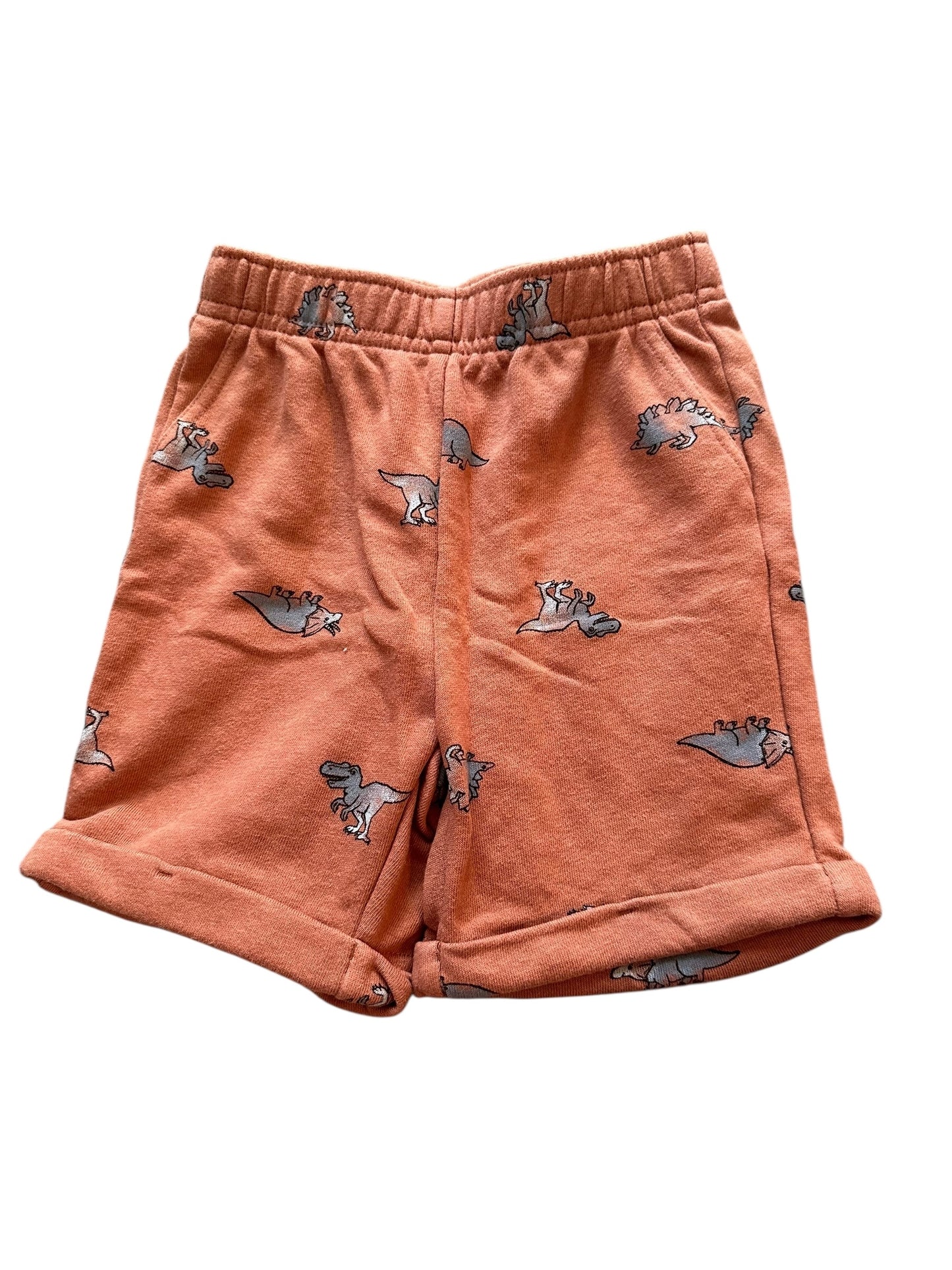 Dinosaur Shorts - Size 4