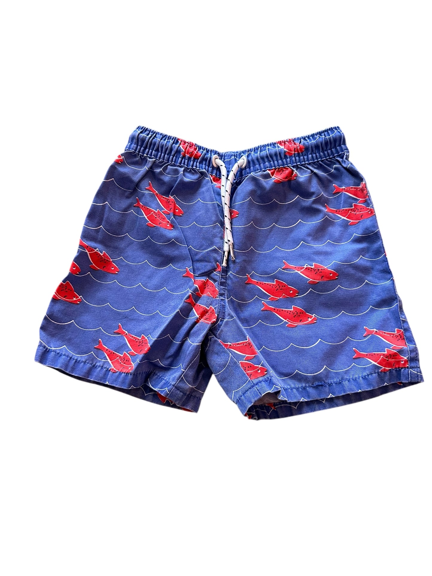 Seed Fish Shorts - Size 3-4