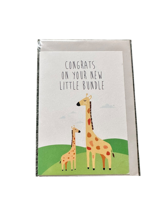 Congrats On Your New Little Bundle Card