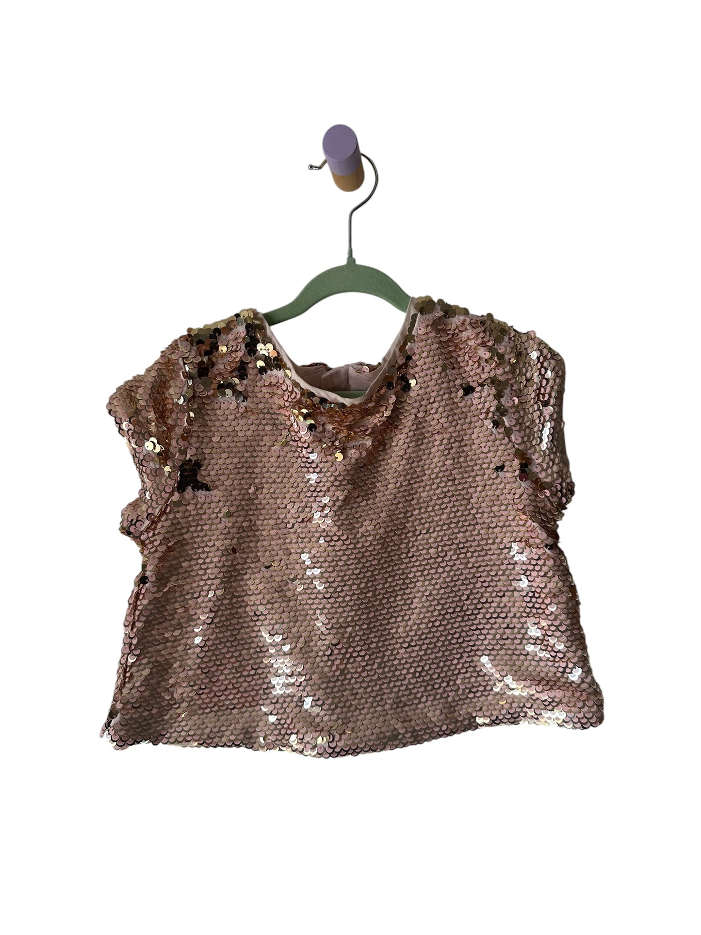 Seed Sequin Crop Top - Size 5