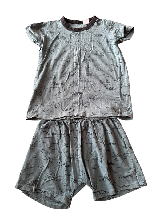 Cotton On Shark Pj Set - Size 4-5