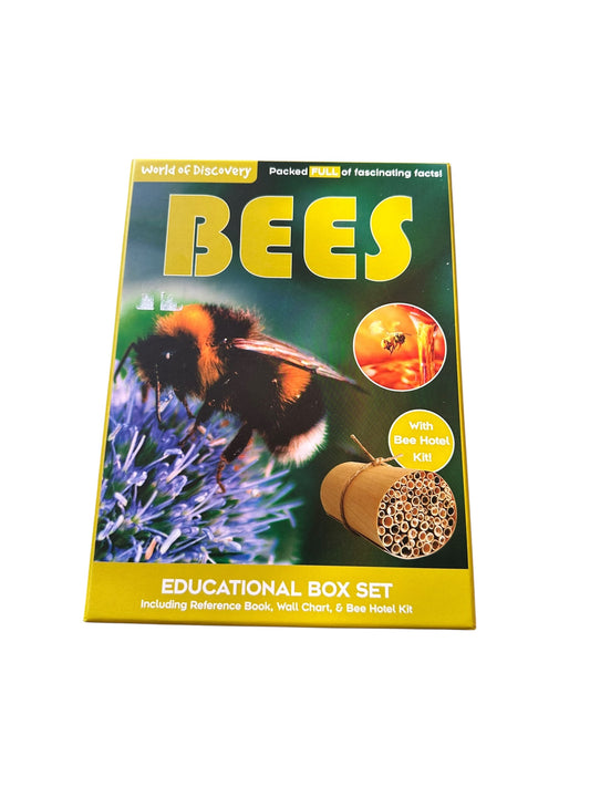 Bees World of Discovery Education Box Set