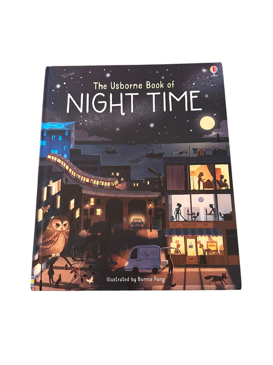 The Usborne Book Of Night Time