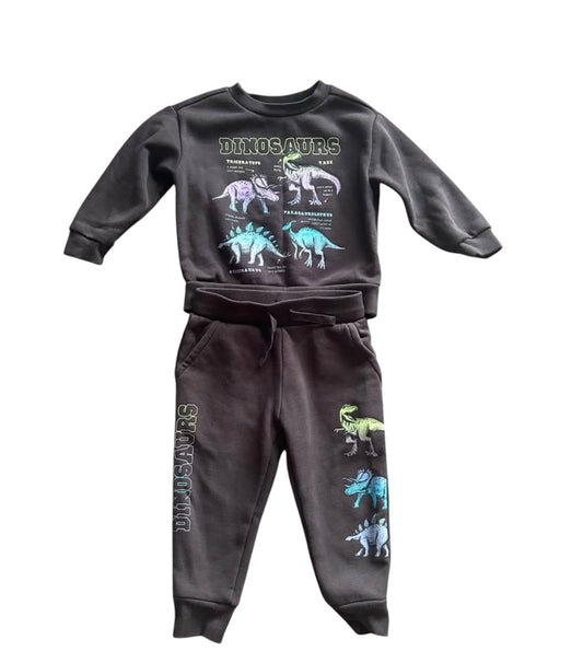 Dinosaur Tracksuit - Size 2